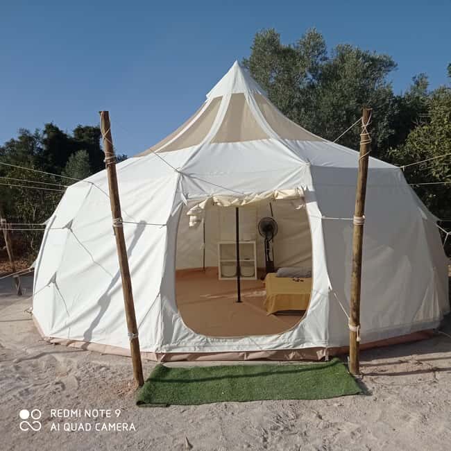 Half-day "Detox, Mineralization & Recovery" (bath + treatment) - Key Points