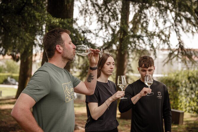 Half-Day E-Bike Tour in Prosecco Hills with Prosecco Tasting - Key Points