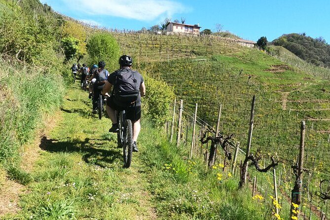 Half-Day E-Bike Tour in Prosecco Hills with Prosecco Tasting - Discovering the Beauty of Veneto’s Prosecco Hills on E-Bikes