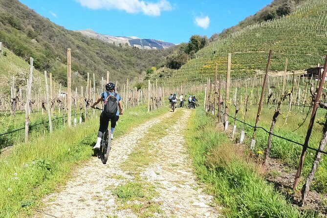 Half-Day E-Bike Tour in Prosecco Hills with Prosecco Tasting - The Real Experience: What Travelers Say