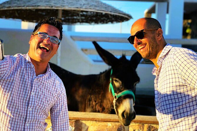 Half Day Easy and Fun Taste of Santorini - Analyzing the Cost and Value