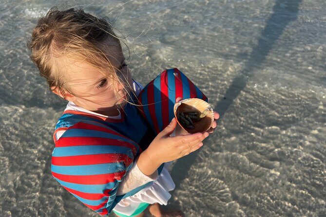 Half Day Eco and Dolphin Boat Tour in Siesta Key - Exploring the Half Day Eco and Dolphin Boat Tour in Siesta Key