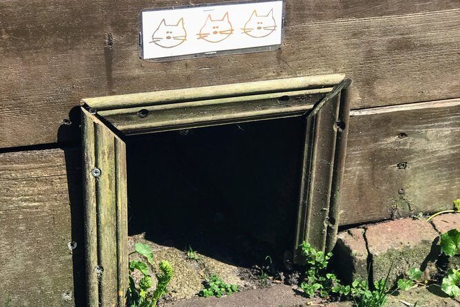 Half-Day Edam and Volendam Private Walking Tour from Amsterdam - The Transport and Duration