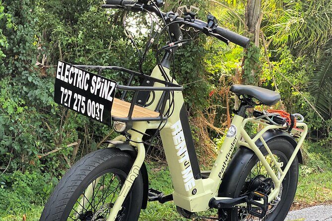 Half Day Electric Bike Rental on the Pinellas Trail - Key Points