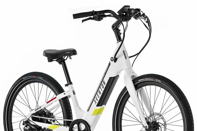 Half Day Electric Bike Rental on the Pinellas Trail - What Makes This Electric Bike Rental Stand Out