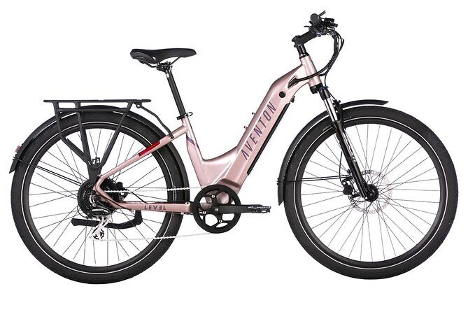 Half Day Electric Bike Rental on the Pinellas Trail - Authentic Traveler Feedback