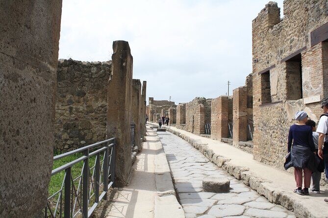 Half-Day Exclusive Private Tour of Pompeii and Herculaneum - The Sum Up