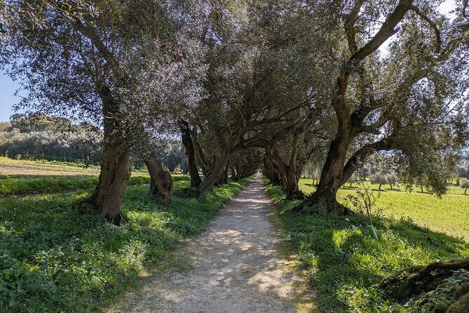 Half-day excursion around Santiago - Who Should Consider This Tour