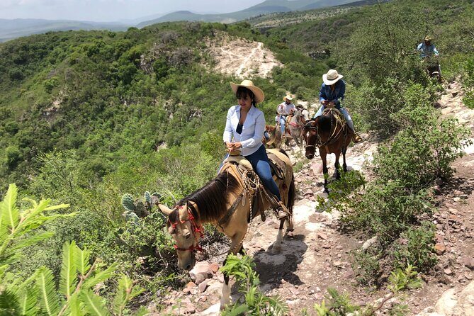 Half Day Excursion - Horseback Riding Adventure in SMA - What Could Be Better?