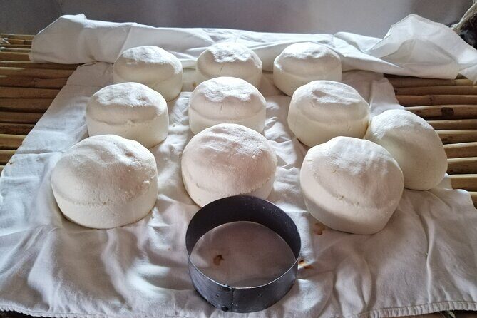 Half Day Excursion - Horseback Riding Adventure in SMA - FAQ