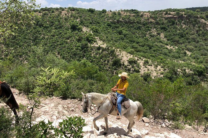 Half Day Excursion - Horseback Riding Adventure in SMA - Final Thoughts