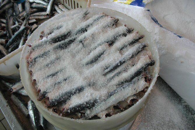 HALF DAY excursion - Marzamemi and Capo Passero by Boat - Practical Details: What to Expect