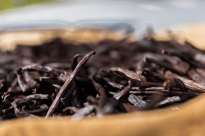 Half day excursion Tahaa - departure Raiatea / ideal cruise line - Key Points