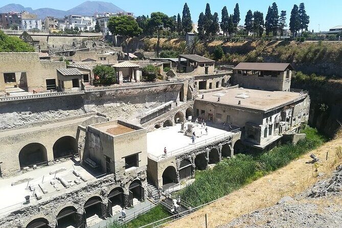 Half Day Excursion to Herculaneum from Naples with Lunch - Final Thoughts