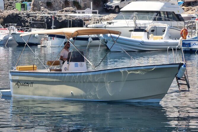 Half Day Excursion to the Marine Reserve of Marettimo - Final Thoughts