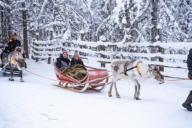 Half-Day Experience in Local reindeer farm in Lapland - What To Expect From the Tour