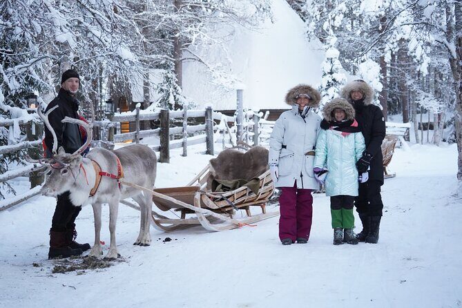 Half-Day Experience in Local reindeer farm in Lapland - How the Experience Sits in Value Terms