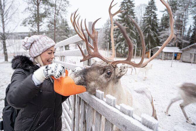 Half-Day Experience in Local reindeer farm in Lapland - FAQ