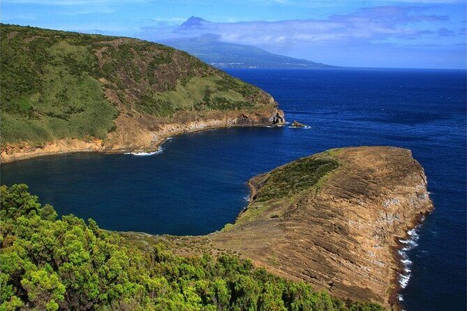 Half-Day Faial Island Tour from Horta - Who Should Book This Tour?