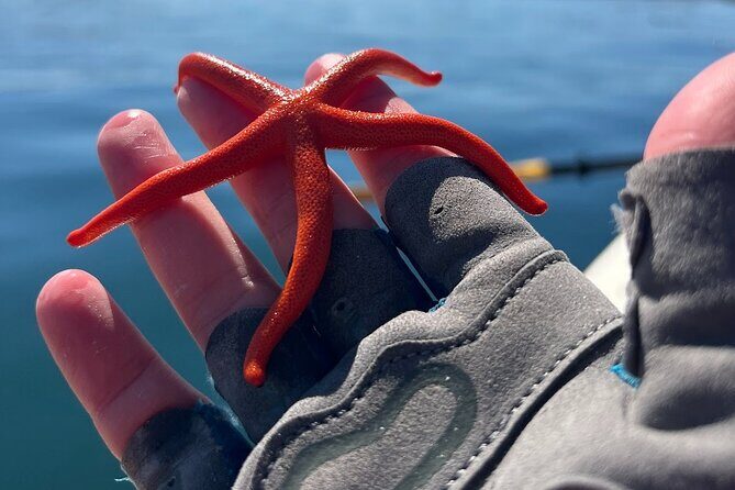 Half Day Family Paddle and Hike - A Closer Look at the Experience