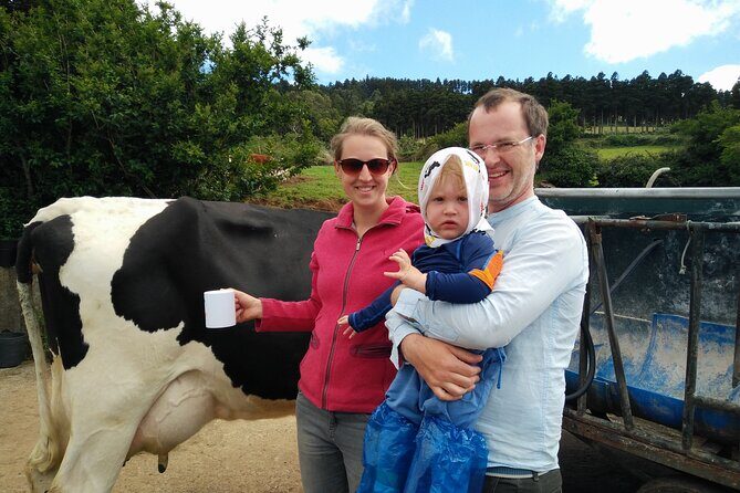 Half-Day Farm Visit and Cow Milking Experience - The Downsides or Considerations