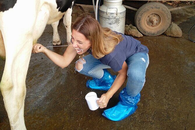 Half-Day Farm Visit and Cow Milking Experience - Who Would Love This Experience?