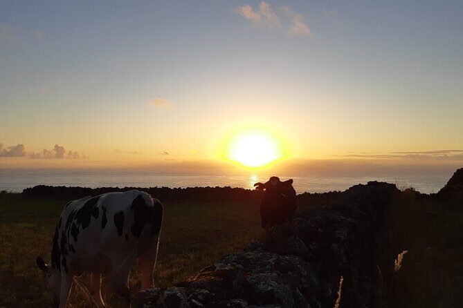 Half-Day Farm Visit and Cow Milking Experience - FAQs