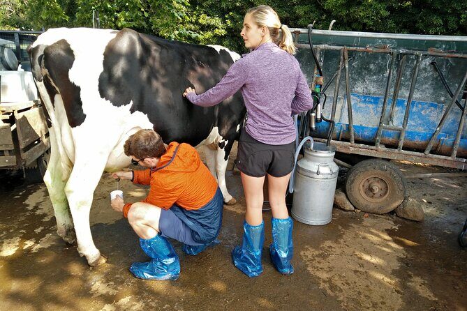 Half-Day Farm Visit and Cow Milking Experience - Final Thoughts