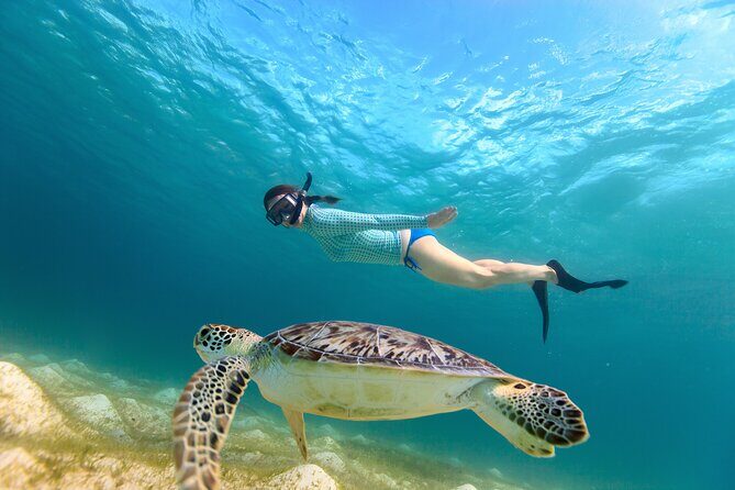 Half-Day Florida Keys Catamaran Snorkel Adventure - A Closer Look at the Snorkel Adventure