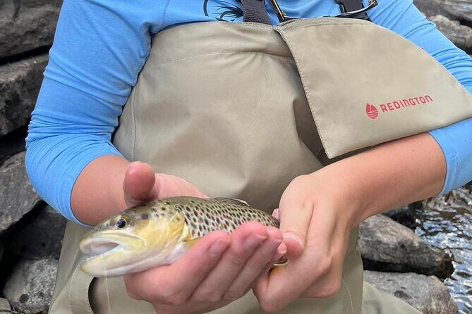 Half Day Fly Fishing Lesson on Clear Creek near Denver - The Itinerary: A Closer Look