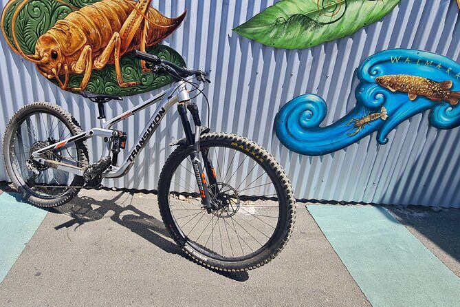 Half Day Full Suspension Acoustic Mountain Bike Rental - Key Points