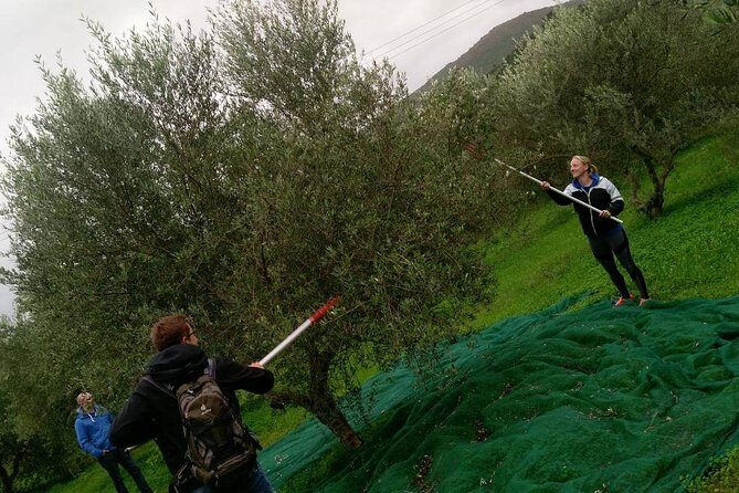 Half-Day Georgioupolis Off-Road Adventure with Meal - Key Points