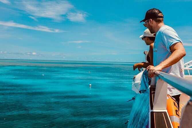 Half Day Great Barrier Reef Snorkeling Tour - The Itinerary Breakdown