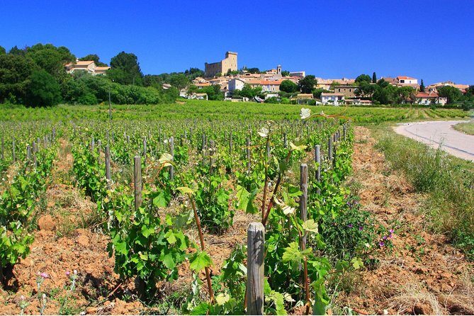 Half Day Great Vineyard Tour from Avignon - Possible Drawbacks or Considerations