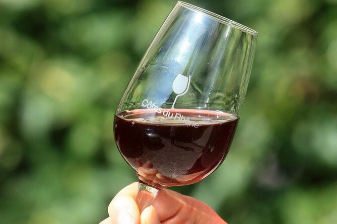 Half Day Great Vineyard Tour from Avignon - Who Is This Tour Best For?