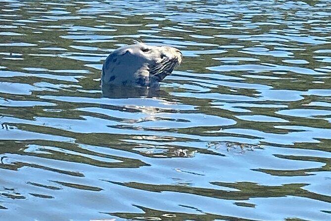 Half Day Guided Canoe Trip in Totnes - FAQ