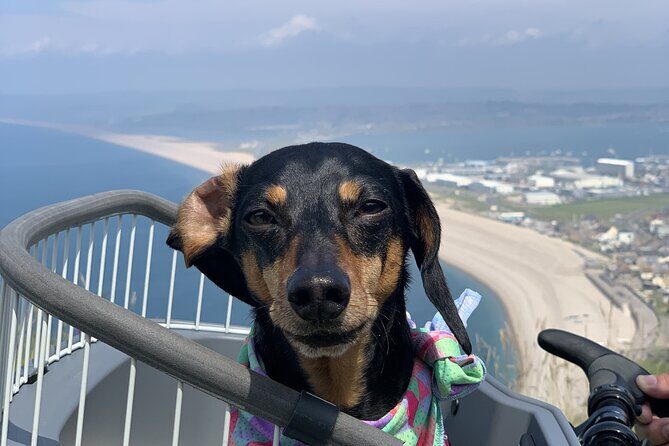 Half-Day Guided E-Bike Tour Portland with Brunch - Starting Point: Portland Castle