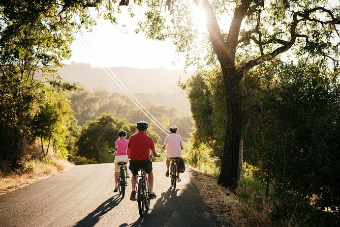 Half Day Guided Electric Bike Wine Tasting Tour with Lunch - Why You Might Want to Consider This Tour