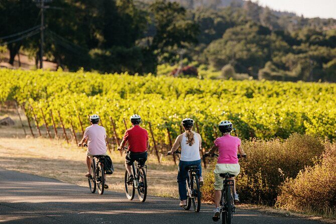 Half Day Guided Electric Bike Wine Tasting Tour with Lunch - Who Will Love This Tour?