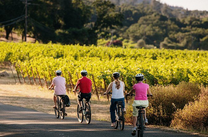 Half Day Guided Electric Bike Wine Tasting Tour with Lunch - FAQs