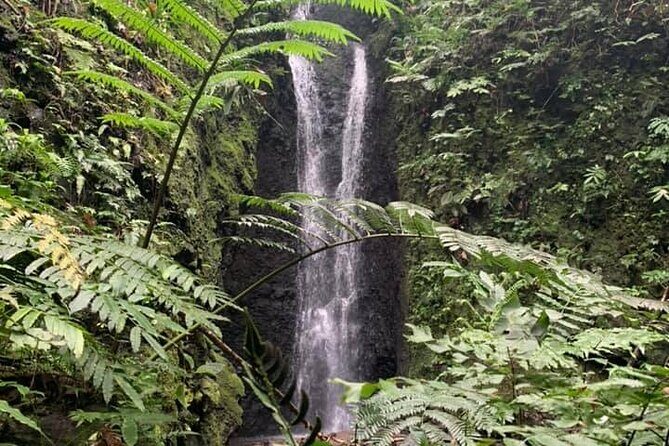 Half-Day Guided Hike to Afareaitu Waterfall - Key Points