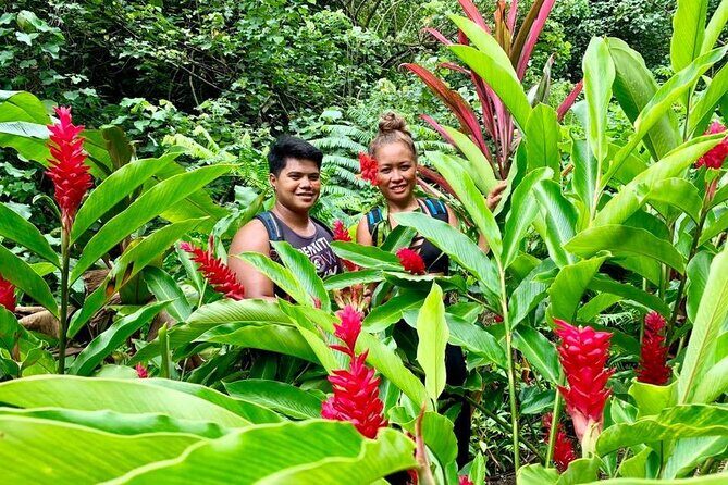 Half-Day Guided Hike to Afareaitu Waterfall - The Value of the Tour