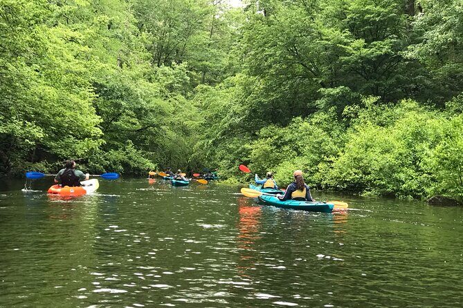 Half-Day Guided Kayaking in the Smoky Mountains of Tallassee - What Is the Half-Day Guided Kayaking Tour in Tallassee?