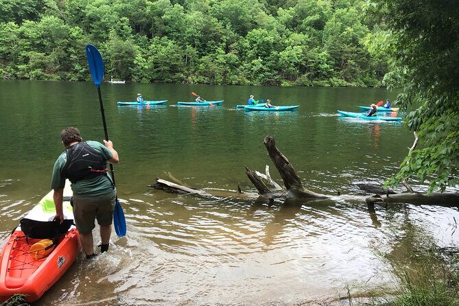 Half-Day Guided Kayaking in the Smoky Mountains of Tallassee - What to Expect During the Tour