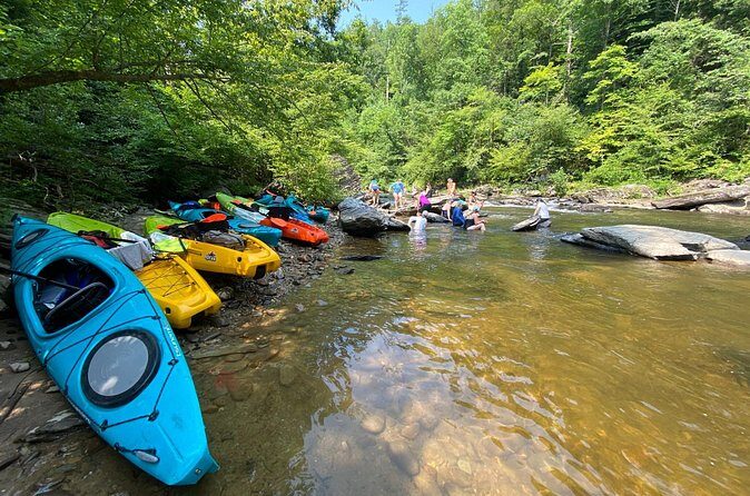 Half-Day Guided Kayaking in the Smoky Mountains of Tallassee - What Do Travelers Say about This Tour?