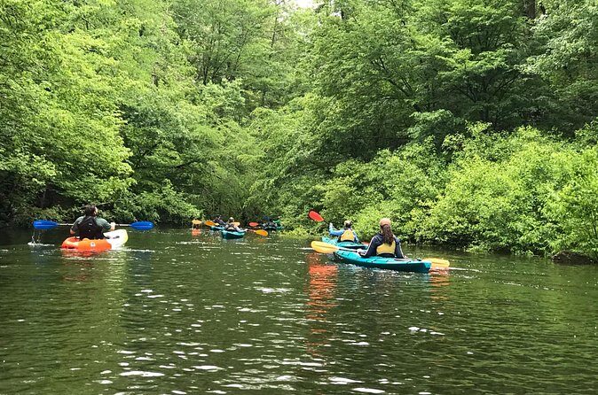 Half-Day Guided Kayaking in the Smoky Mountains of Tallassee - Who Is This Tour Best For?