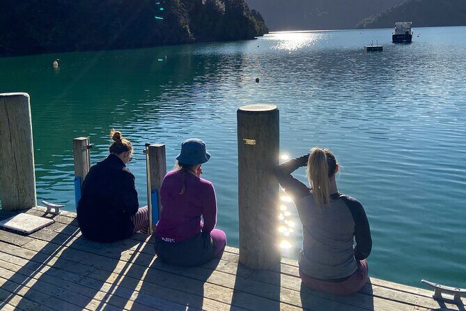 Half-Day Guided Sea Kayak Trip from Picton - Key Points