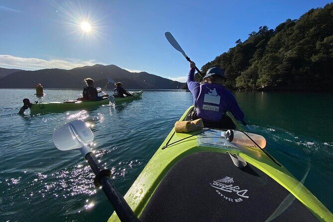 Half-Day Guided Sea Kayak Trip from Picton - The Sum Up: Is It Worth It?
