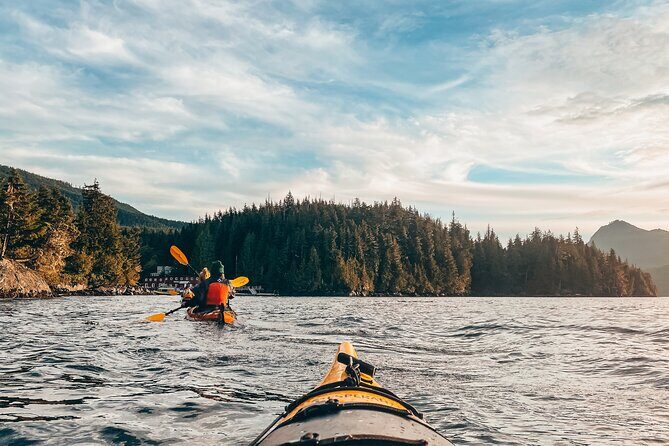 Half-Day Guided Sea Kayaking Adventure in Telegraph Cove - What to Expect from the Experience