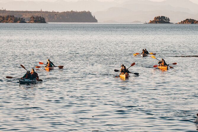 Half-Day Guided Sea Kayaking Adventure in Telegraph Cove - Who Should Consider This Tour?
